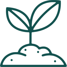 Rooted certification level icon