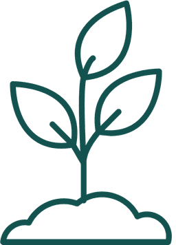 Growing certification level icon